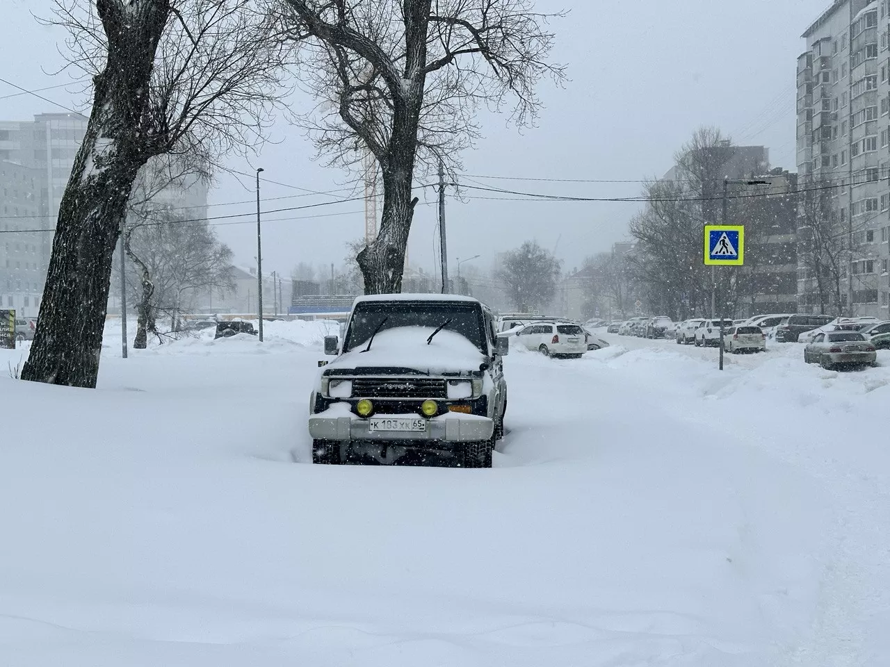 Метель на юге Сахалина: отменённые автобусы, закрытые дороги и задержанные рейсы