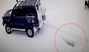 В Охе жестоко убили собаку – видео попало на камеры