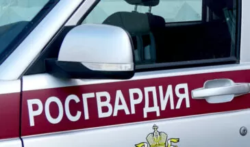 В Холмске нетрезвая женщина устроила дебош в ресторане — вмешалась Росгвардия