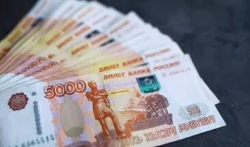 На Сахалине многодетную мать обвиняют в махинации на 1,5 млн рублей