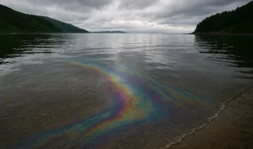 На севере Сахалина заподозрили нефтеразлив: в заливе Набиль — радужная пленка и резкий запах