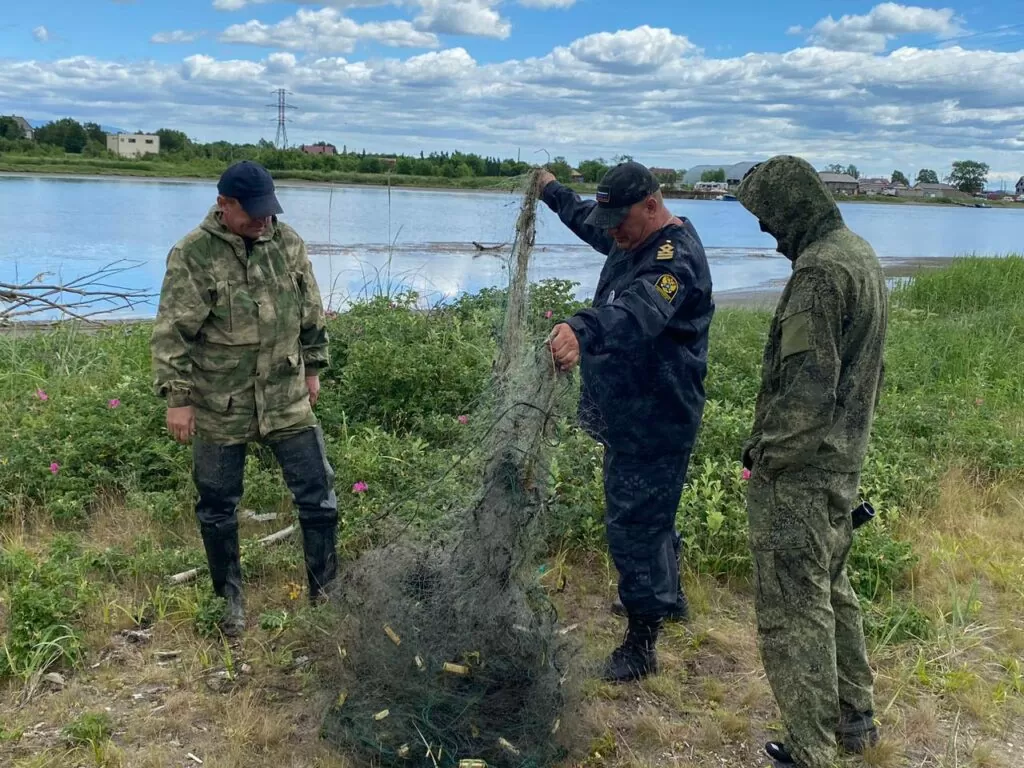 лососевая путина на Сахалине