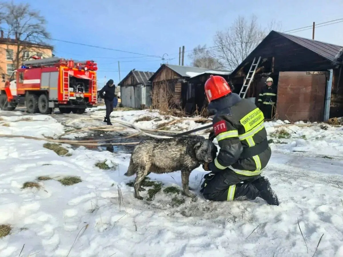 На Сахалине пожарные спасли собаку из горящего гаража
