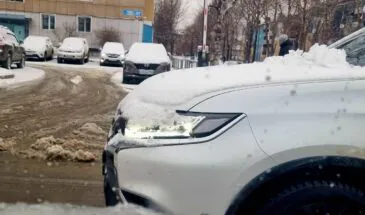 Метель обрушится на 14 районов Сахалина 17 ноября