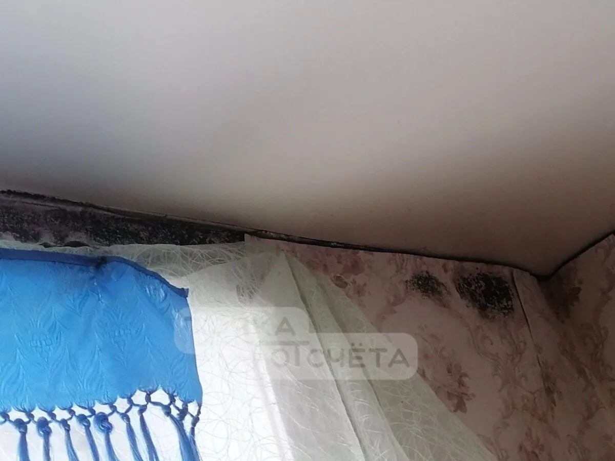 «Ребенку нельзя здесь жить»: семья в Южно-Сахалинске борется с плесенью и безвыходной ситуацией