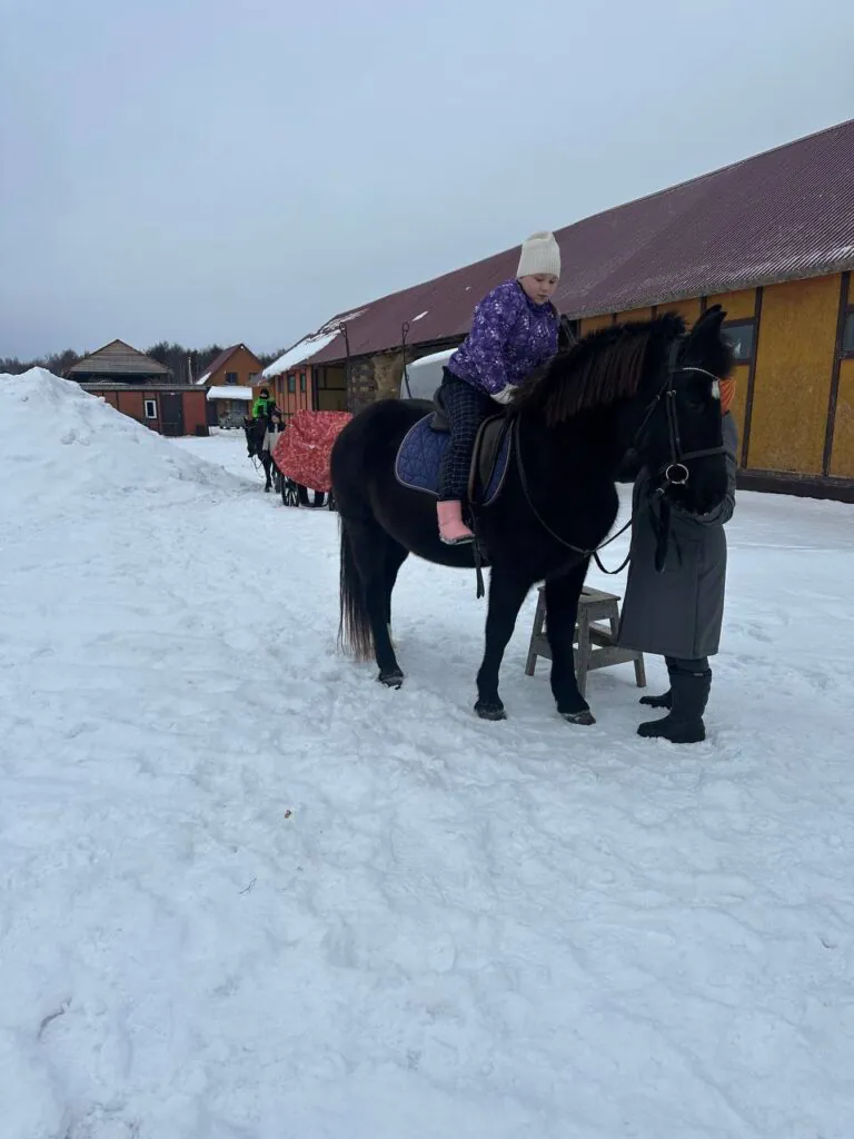 Новогоднюю сказку с лошадьми и подарками устроили для детей из центра «Маячок» в Южно-Сахалинске
