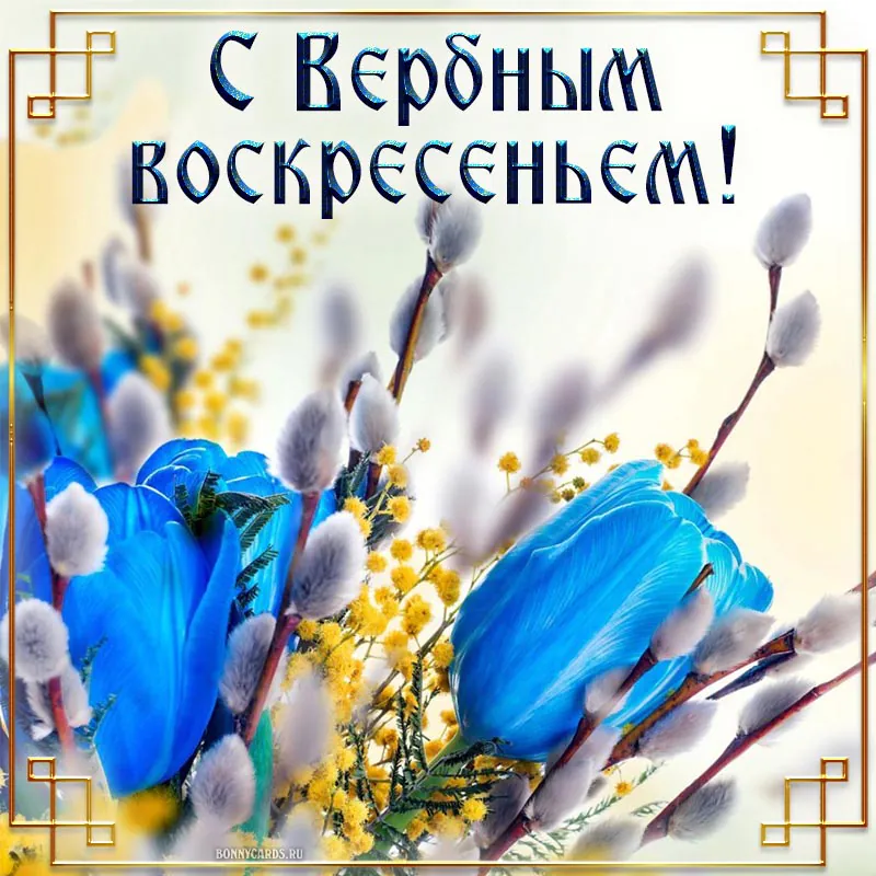Открытки на Вербное воскресенье 2026: красивые картинки с пожеланиями