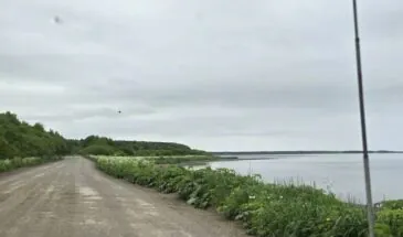 До +17 градусов потеплеет на Сахалине днем 21 мая