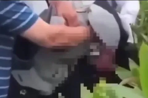 Подозреваемого в убийстве на Курилах нашли в кустах с ножом и следами крови — видео