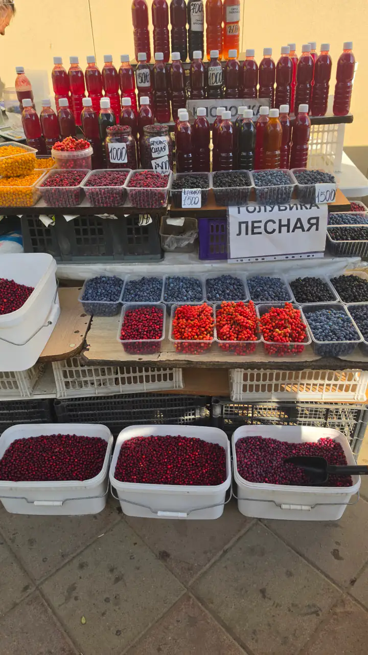 "Ягод мало, медведей много". По каким ценам продавали дары природы на Сахалине в этом году?