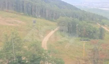 Медведя заметили на трассах «Горного воздуха» в Южно-Сахалинске