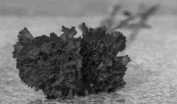 Ушла из жизни мать дирижера Южно-Сахалинского симфонического оркестра Тиграна Ахназаряна