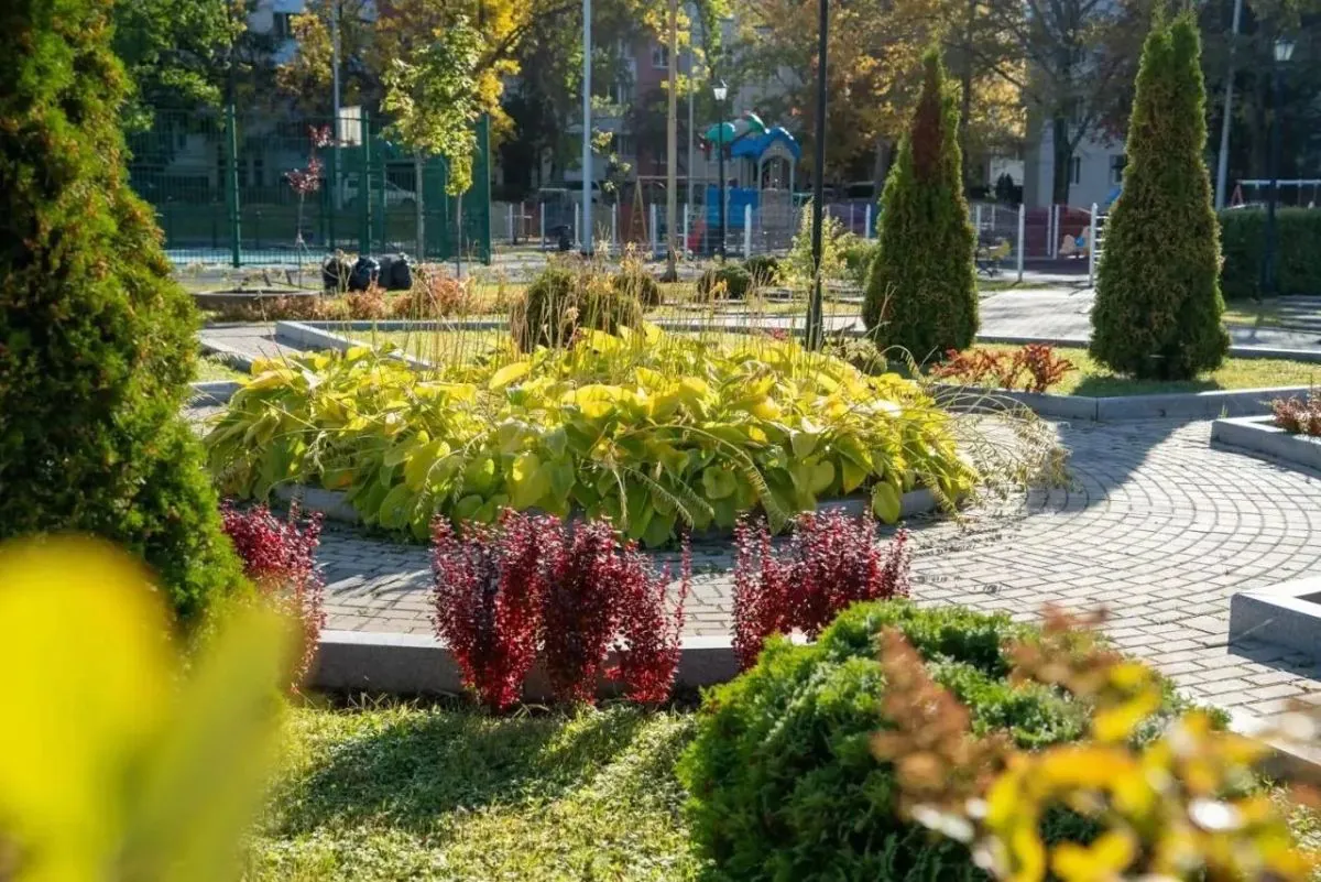 Более 5800 деревьев и кустарников высадят в Южно-Сахалинске до конца октября