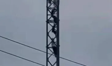 Опасное восхождение на вышку в Корсакове обернулось протоколами для родителей