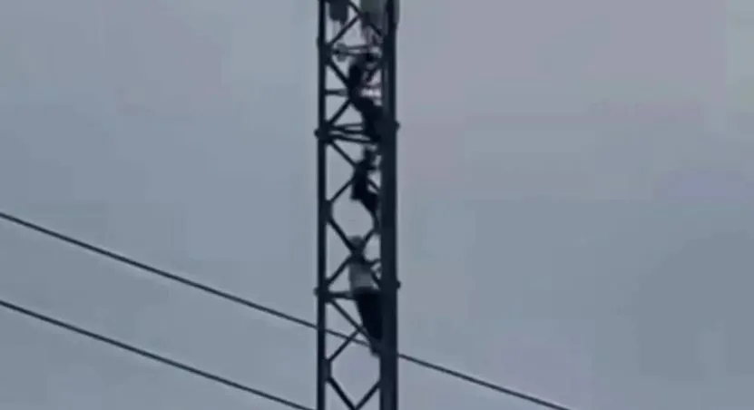 Опасное восхождение на вышку в Корсакове обернулось протоколами для родителей
