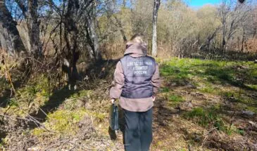 Тело 65-летнего мужчины обнаружили в лесу на Сахалине